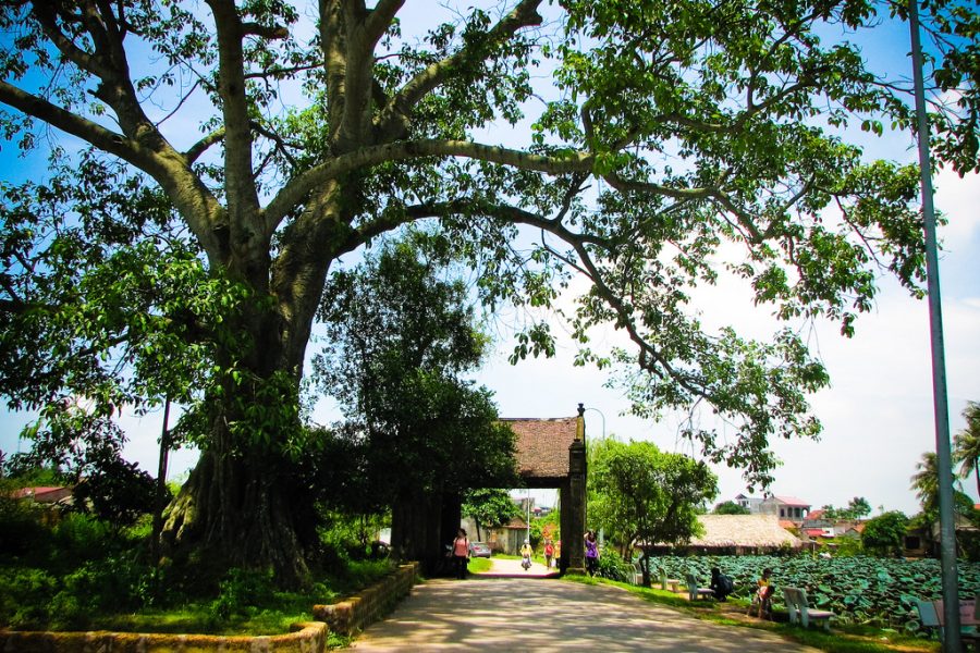 【 貸切 】ハノイ発｜国家文化財指定の古くドンラム村＆タイ寺見学ツアー（日本語ガイド付）